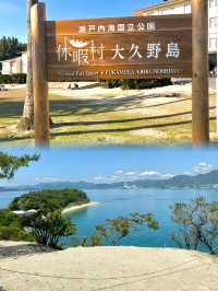 【うさぎ島】広島県大久野島でうさぎに癒される旅🛳