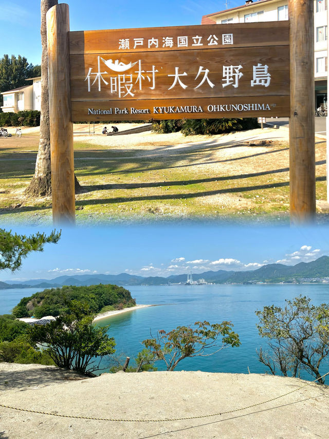 【うさぎ島】広島県大久野島でうさぎに癒される旅🛳