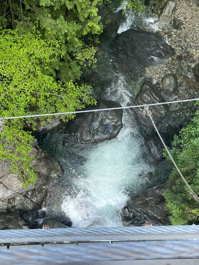 岐阜　マイナスイオンを感じられる滝🏞️