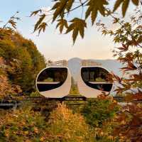 Hwadam Botanical Garden - South Korea