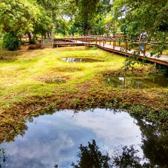 🇰🇭 Choeung Ek: A Somber Reminder of Cambodia's Dark Past