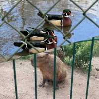 可愛動物園