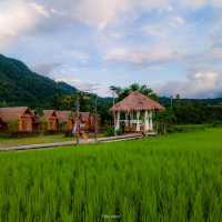 ที่พักริมน้ำมาง และวิวท้องนา บ่อเกลือ น่าน