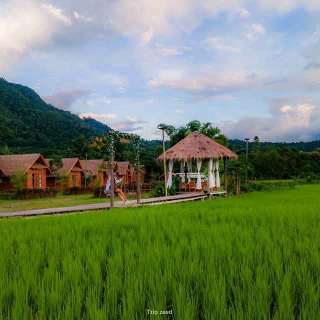 ที่พักริมน้ำมาง และวิวท้องนา บ่อเกลือ น่าน