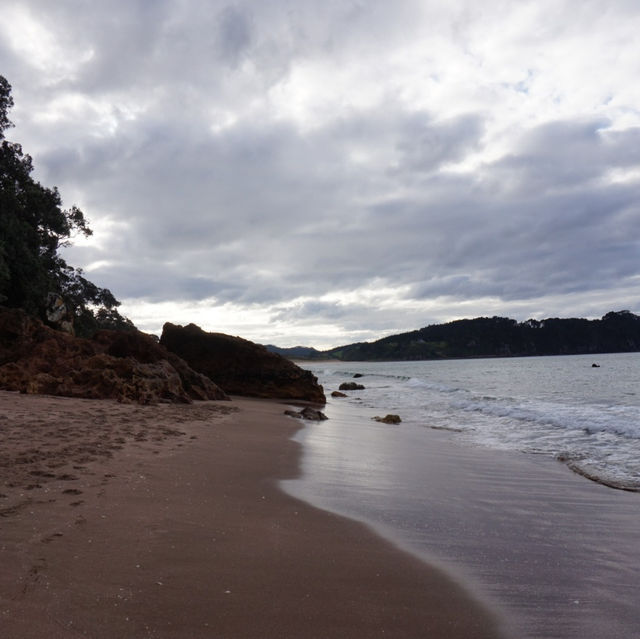 Unique beach in New Zealand