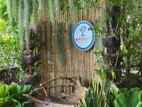 Oasis ใจกลางเมืองระยอง B‘forest Cafe Rayong 🍃