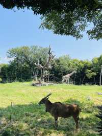 【大阪府】100年を超える長い歴史を持つ天王寺動物園