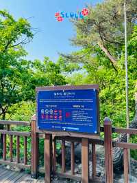 🇰🇷 Let’s go hiking to Gamaksan Suspension Bridge