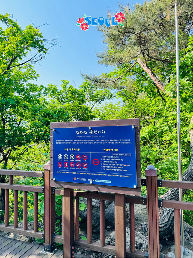 🇰🇷 Let’s go hiking to Gamaksan Suspension Bridge