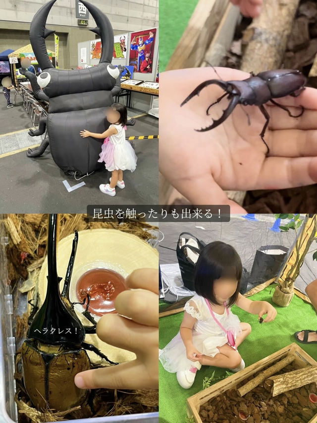 [速報]家族で1日中楽しめる東海地方最大級の祭典
