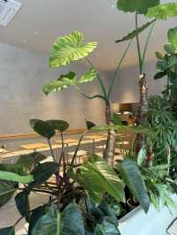 【福岡カフェ】住宅メーカープロデュースのお洒落なカフェ☕️✨