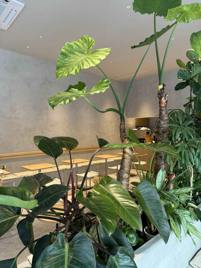 【福岡カフェ】住宅メーカープロデュースのお洒落なカフェ☕️✨