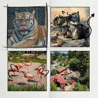 Linton Zoo：動物界的搞笑明星大聚會 🦁🎉