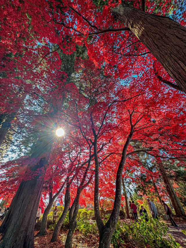 【長野県】長円寺