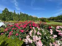 Shinjuku Gyoen National Garden: A Serene Oasis Amidst the Urban Jungle