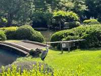 Shinjuku Gyoen National Garden: A Serene Oasis Amidst the Urban Jungle