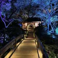 【東京/品川】庭園ライトアップとラウンジホッピングが楽しめるホテルステイ🩷