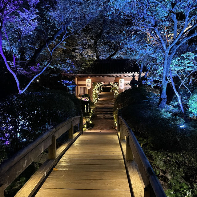 【東京/品川】庭園ライトアップとラウンジホッピングが楽しめるホテルステイ🩷