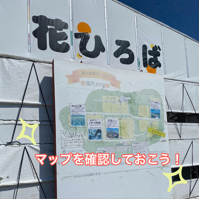 知多半島の旅　観光農園「花ひろば」
