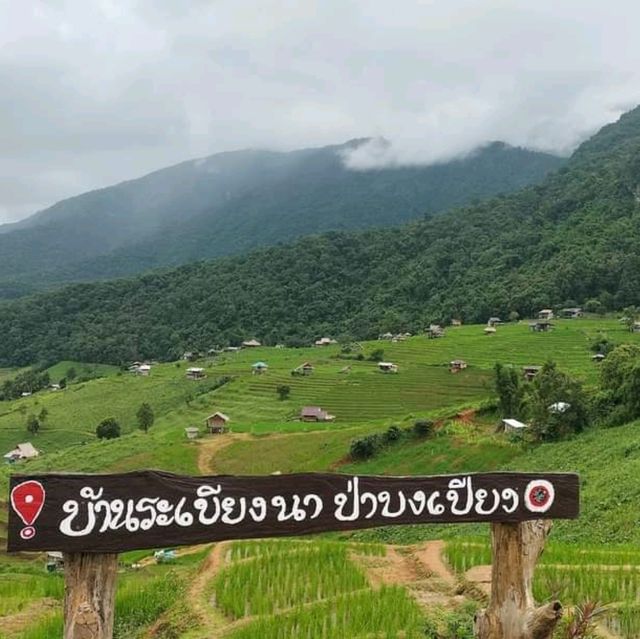 จุดกางเต็นท์ บ้านระเบียงนา ป่าบงเปียงเชียงใหม่