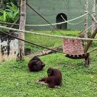 A Day of Adventure: Discover Zoo Melaka 🇲🇾