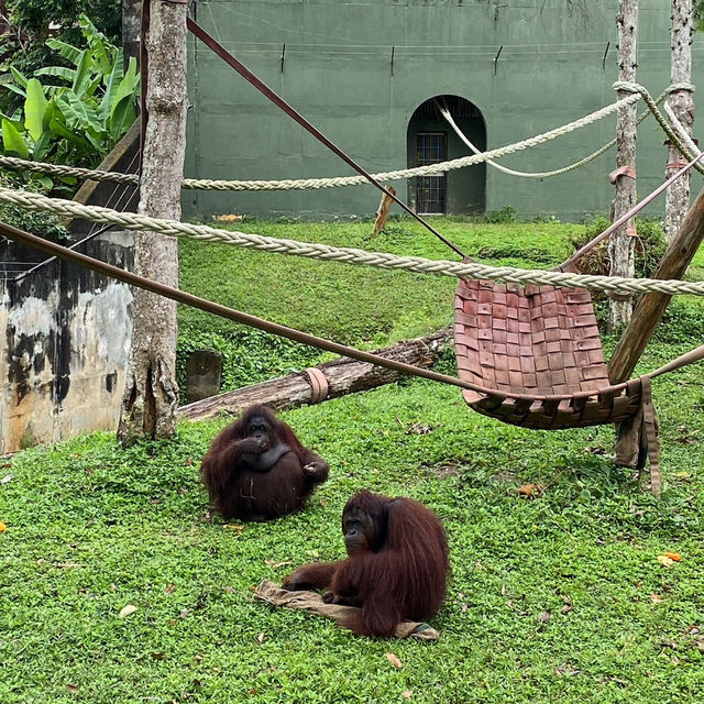 A Day of Adventure: Discover Zoo Melaka 🇲🇾