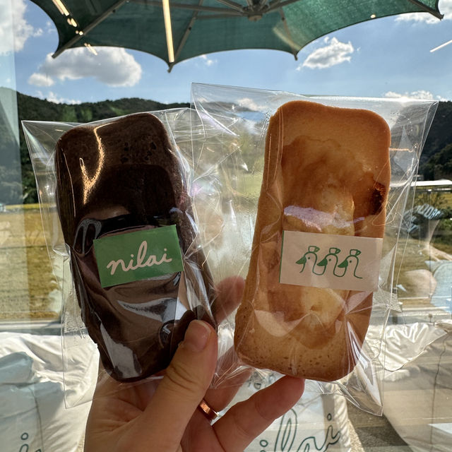 가을 주말 당일치기로 추천하는 경기도힐링카페💗