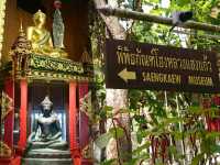 ชม..พิพิธภัณฑ์โฮงหลวงแสงแก้ว