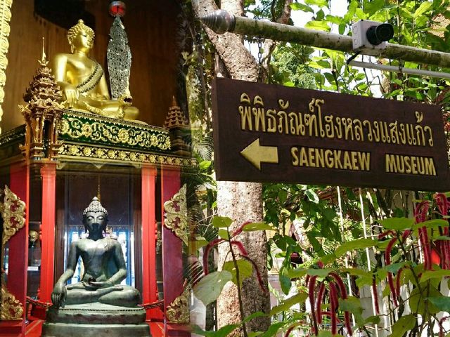 ชม..พิพิธภัณฑ์โฮงหลวงแสงแก้ว