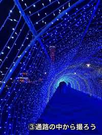 【神戸夜景】メリケンパークで夜景を撮りたい❤️