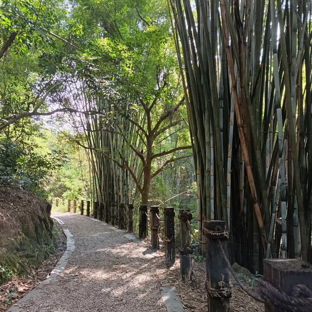桂河碧道：綠油油的自然🌿🌊