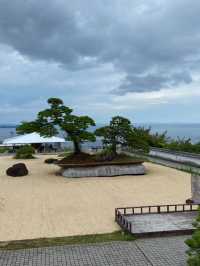 【熱海市】写真を撮る手が止まらない！熱海の最強スポット✨️