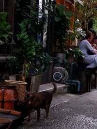 Wall flowers คาเฟ่ฟิลกู้ดดในย่านเก่าา