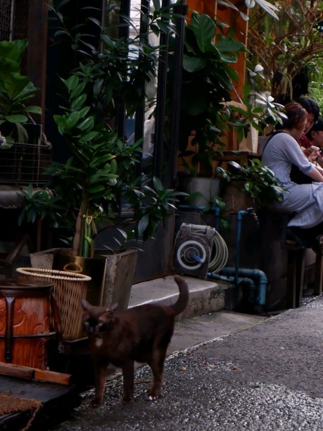 Wall flowers คาเฟ่ฟิลกู้ดดในย่านเก่าา
