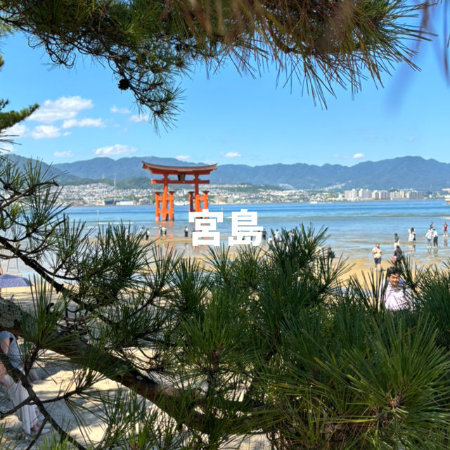 【広島】世界遺産・日本三景の宮島⛩️