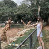 Bonanza Khaoyai สวนสัตว์สุดน่ารัก