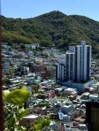 Cityscape Views from Gamcheon Cultural Village 🇰🇷