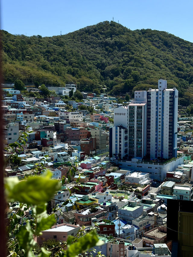 Cityscape Views from Gamcheon Cultural Village 🇰🇷