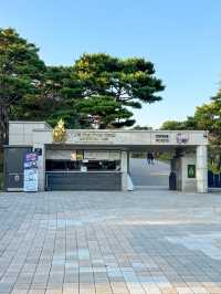 공주가면 꼭 가야할 ‘무령왕릉과 왕릉원’