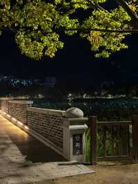 야경이 아름다운 전주 덕진공원