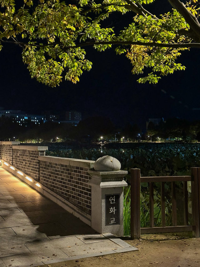 야경이 아름다운 전주 덕진공원
