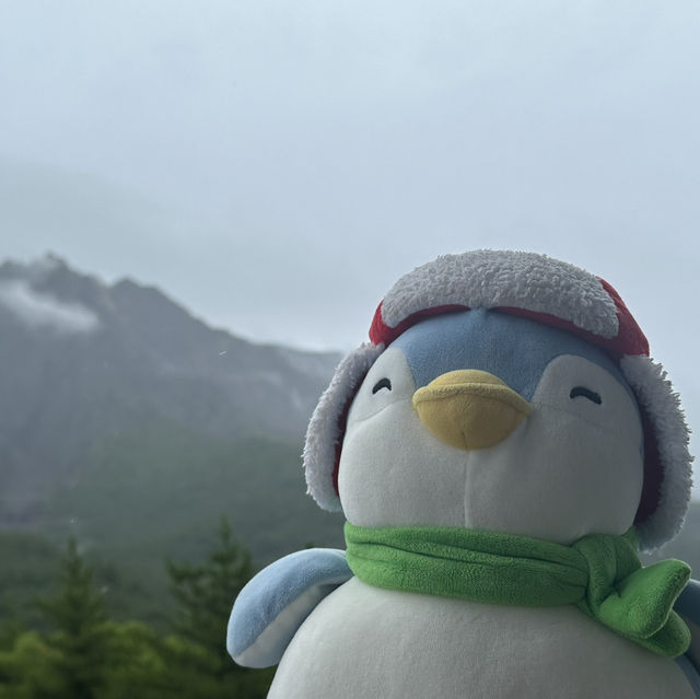 大雨霧霾中的鹿兒島櫻島火山🌋😅
