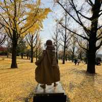 ONE PIECE in KUMAMOTO🍁🍂