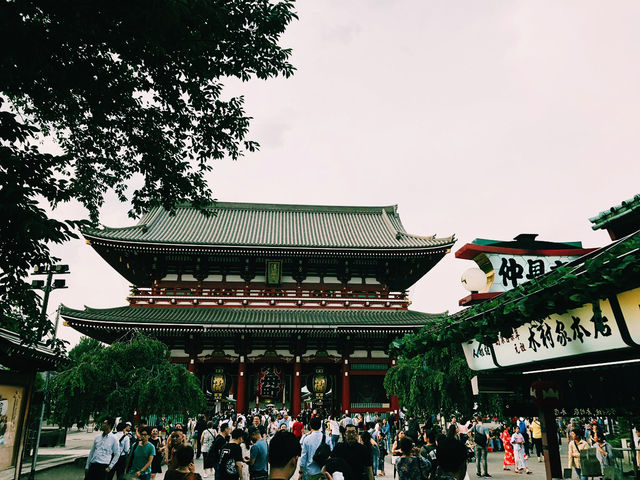 # TOKYO🇯🇵 東京漫遊の旅#