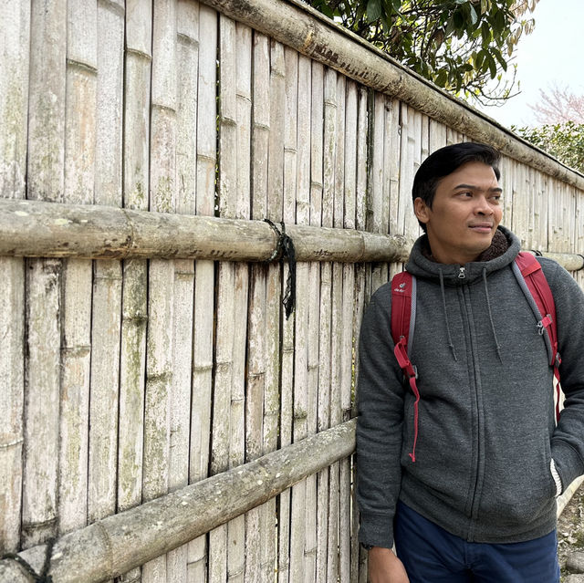 Lost in Arashiyama’s Magical Bamboo Forest!