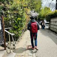 Lost in Arashiyama’s Magical Bamboo Forest!