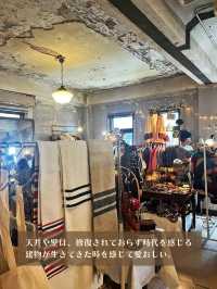 【東京|浅草】限定公開幻のアパート
