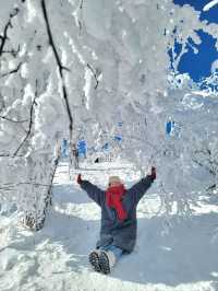 한국의 삿포로 평창으로 가야하는 이유❄️