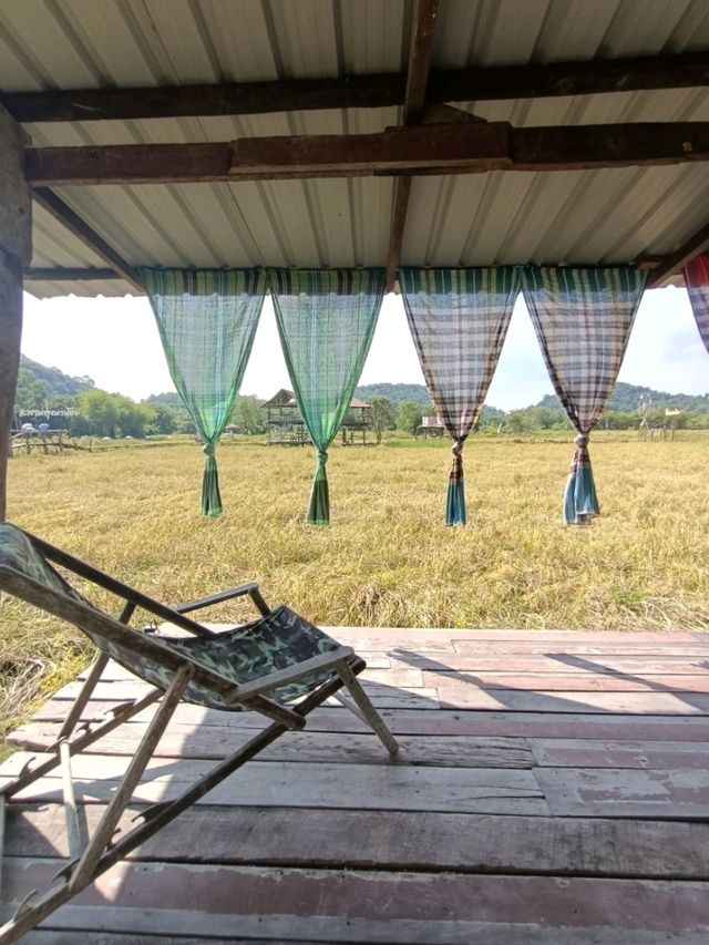 คาเฟ่ฟิวธรรมชาติ