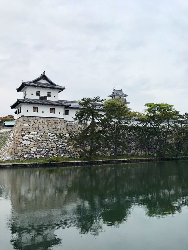 【愛媛おでかけ記録】